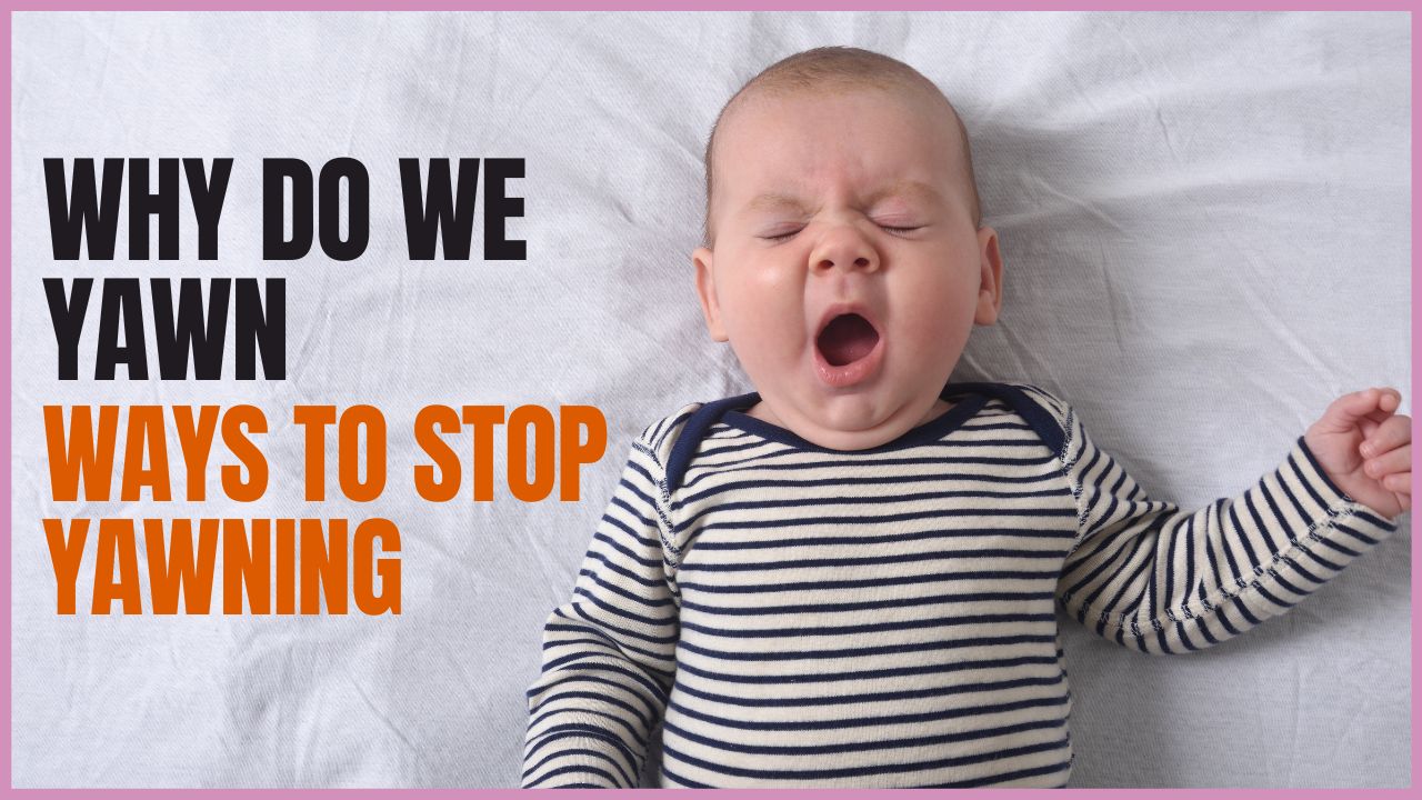 Why do we Yawn Ways to Stop Yawning Is Yawning Contagious?
